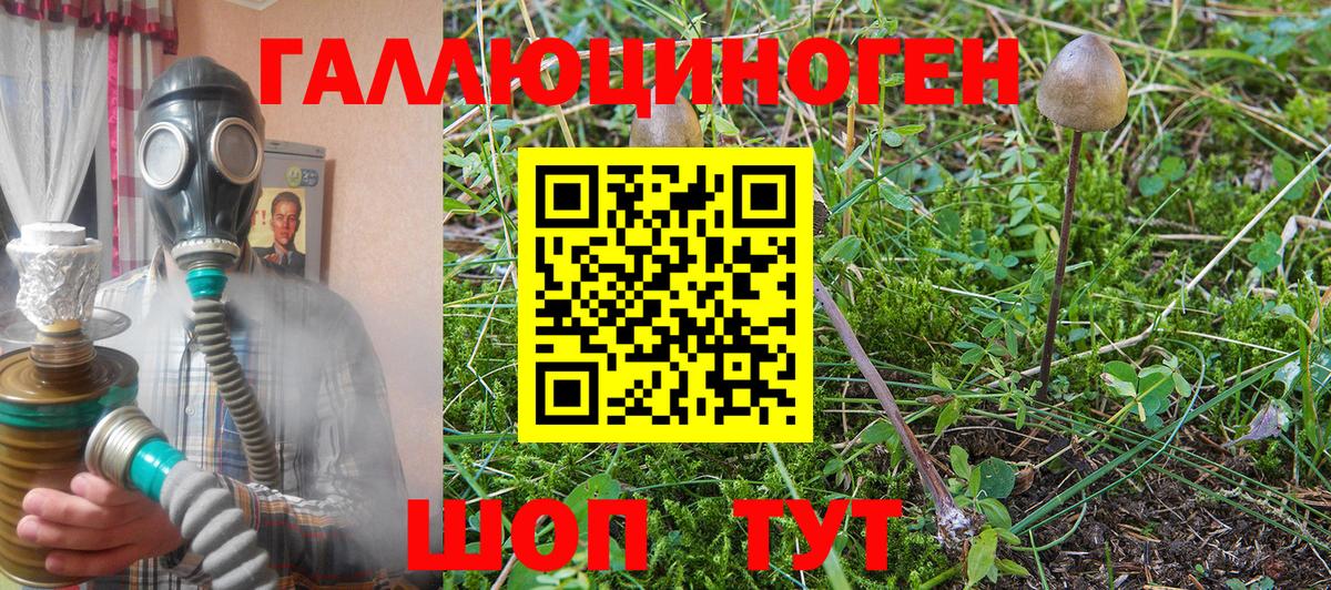 Галлюциногенные грибы GOLDEN TEACHER  Вход с VPN  Урай 