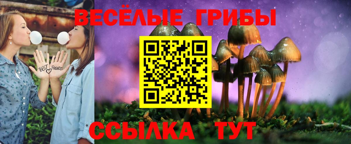 Псилоцибиновые грибы MAGIC MUSHROOMS Урай